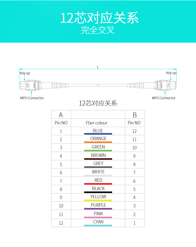 k8凯发(中国)天生赢家·一触即发_产品245